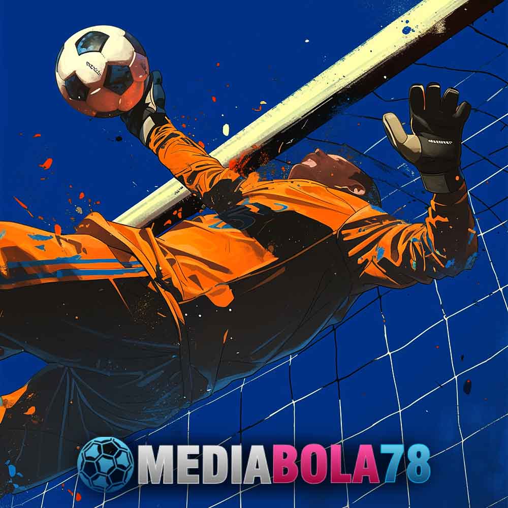 Mediabola78 banner